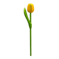 Typisch Hollands Wooden Tulip on stem - Yellow/Green