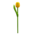 Typisch Hollands Wooden Tulip on stem - Yellow/Green