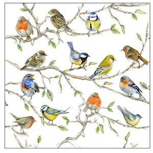 Typisch Hollands Napkins Dutch birds Chickadees, Sparrows and finches on twigs