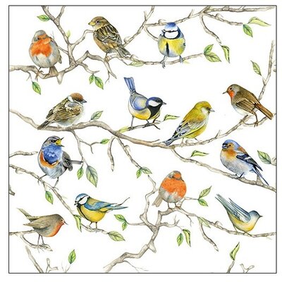 Typisch Hollands Napkins Dutch birds Chickadees, Sparrows and finches on twigs