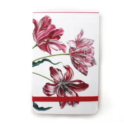 Typisch Hollands Notizbuch – Taschenformat – Tulpen (Merian) – mit Elasto-Verschluss