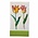 Typisch Hollands Notebook - Pocket size - Jacob Marrel - Two tulips