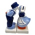 Typisch Hollands Salt and pepper - Delft blue - Kissing couple