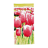 Typisch Hollands Badetuch Tulpen - Holland