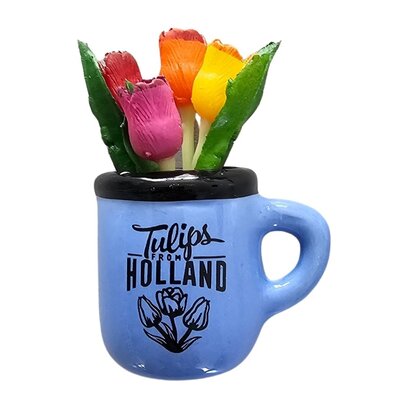 Typisch Hollands Magneet - Halve mok met tulpen - Blauw Holland