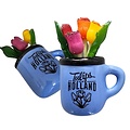 Typisch Hollands Magneet - Halve mok met tulpen - Blauw Holland