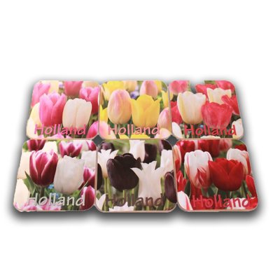 Typisch Hollands Coasters Tulips