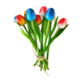 Typisch Hollands Houten Tulpen (18cm)in MIX boeket.  - Rood-Wit-Blauw en oranje
