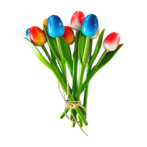Typisch Hollands Wooden Tulips (18cm) in MIX bouquet. - Red-White-Blue and orange