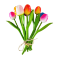 Typisch Hollands Houten Tulpen (18cm)in MIX boeket.  - variatie kleuren
