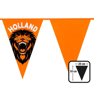 Typisch Hollands Vlaggenlijn  Oranje-Holland leeuwen 6 meter