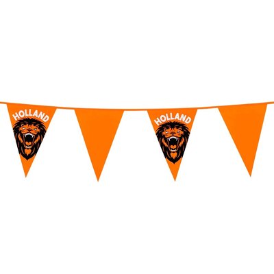 Typisch Hollands Vlaggenlijn  Oranje-Holland leeuwen 6 meter