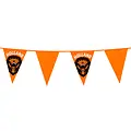 Typisch Hollands Flag line Orange-Holland lions 6 meters