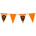 Typisch Hollands Flaggenlinie Orange-Holland-Löwen 6 Meter