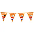 Typisch Hollands Flag line Orange-Holland 6 meters