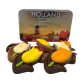 Typisch Hollands Chocoladetulpen in Hollands snoepblik.