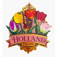 Typisch Hollands Magnet Holland - Tulips - Pink (pretty tulips)