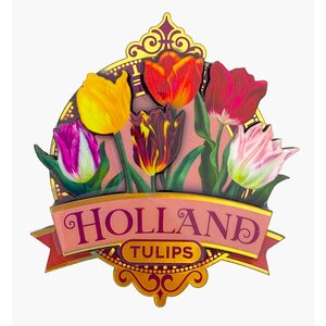 Matix Magnet Holland - Tulpen - Rosa (hübsche Tulpen)