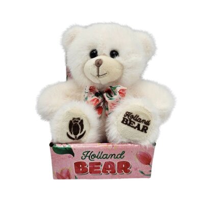 Typisch Hollands A hug for you! - Plush bear with candy hearts (text Dutch)