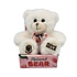 Typisch Hollands A hug for you! - Plush bear with candy hearts (text Dutch)