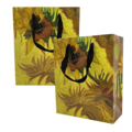 Typisch Hollands Geschenktasje Zonnebloemen - Vincent van Gogh