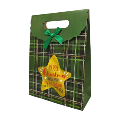 Typisch Hollands Geschenktüte aus Karton - Weihnachten - Grün mit goldenem Stern