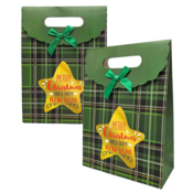 Typisch Hollands Geschenktüte aus Karton - Weihnachten - Grün mit goldenem Stern