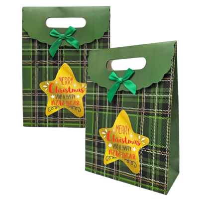 Typisch Hollands Geschenktas  van karton - Kerst - Groen met gouden ster