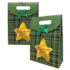 Typisch Hollands Geschenktas  van karton - Kerst - Groen met gouden ster
