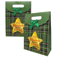 Typisch Hollands Cardboard gift bag - Christmas - Green with gold star