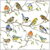 Typisch Hollands Napkins Dutch birds Chickadees, Sparrows and finches on twigs