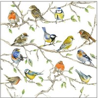 Typisch Hollands Napkins Dutch birds Chickadees, Sparrows and finches on twigs
