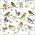 Typisch Hollands Napkins Dutch birds Chickadees, Sparrows and finches on twigs