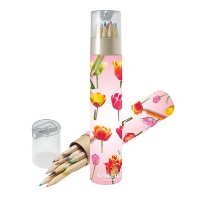 Typisch Hollands Kleurpotloden in koker (puntenslijper-dop) - Tulpen