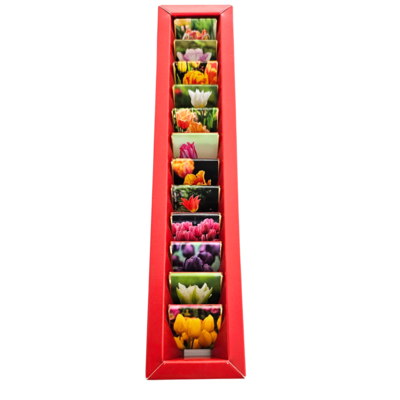 Typisch Hollands Melkchocolade in  geschenkdoos – Tulpen - Holland