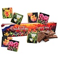 Typisch Hollands Milchschokolade in Geschenkpackung - Tulpen - Holland