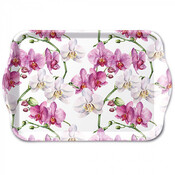 Typisch Hollands Dienblad -Elegante orchideen  21x14cm