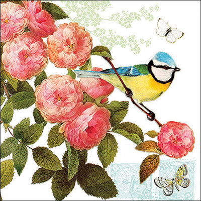 Typisch Hollands Napkins Dutch birds Tits, sparrows and finches - Copy