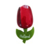 Typisch Hollands Magnet Tulpe - Groß Rot-Dunkel