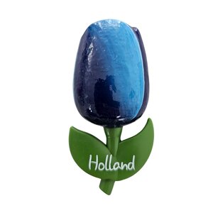 Typisch Hollands Magneet Tulp - Groot Blauw-Wit