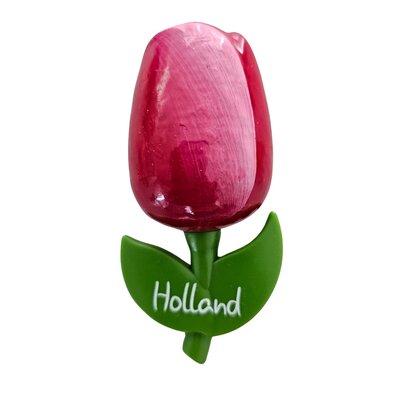 Typisch Hollands Magnet Tulip - Large White - Copy