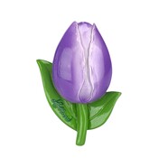 Typisch Hollands Magneet 3d tulp Holland– violet
