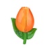 Typisch Hollands Magnet 3d tulip Holland– orange