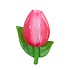 Typisch Hollands Magnet 3D Tulpe Holland – rosa