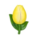 Typisch Hollands Magnet 3D Tulpe Holland – gelb