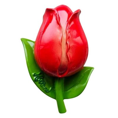 Matix Magnet 3d tulip Holland– red