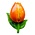 Typisch Hollands Magnet 3d tulip Holland– orange