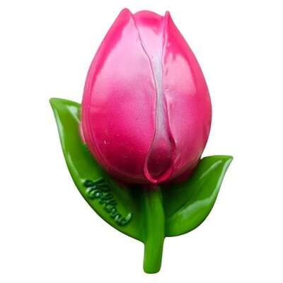 Typisch Hollands Magnet 3D Tulpe Holland – rosa