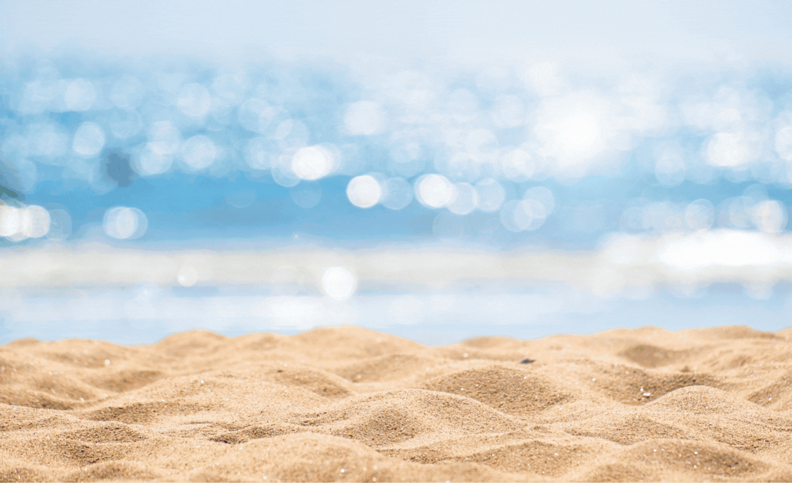 Typisch Hollands Giftshop | 7.500+ Souvenirs & Relatiegeschenken banner 2