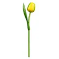 Typisch Hollands Gelbe Tulpe aus Holz